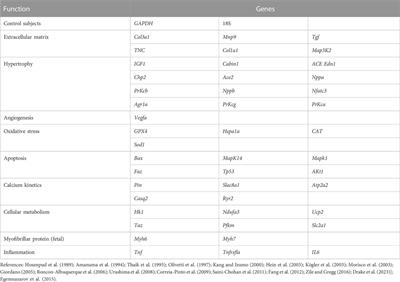 Hypertrophy of the right ventricle by pulmonary artery banding in rats: a study of structural, functional, and transcriptomics alterations in the right and left ventricles